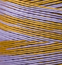 1146 Clara Hand Dyed 6 Strand floss By Weeks Dye Works