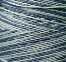 1181 Cape Cod Dyed 6 Strand floss By Weeks Dye Works