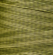 1193 Guacamole Hand Dyed 6 Strand floss By Weeks Dye Works