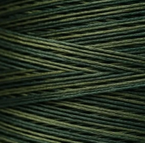 2158 Juniper Hand Dyed 6 Strand floss By Weeks Dye Works