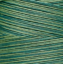 2166 Bayberry Hand Dyed 6 Strand floss By Weeks Dye Works