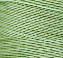 2176 Meadow Hand Dyed 6 Strand floss By Weeks Dye Works