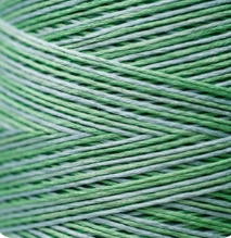 2181 Cactus Hand Dyed 6 Strand floss By Weeks Dye Works
