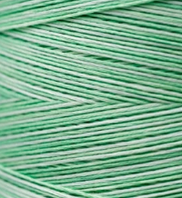 2191 Granny Smith Hand Dyed 6 Strand floss By Weeks Dye Works