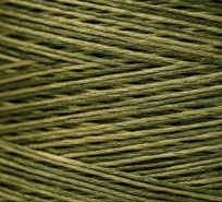 2195 Grassland Dyed 6 Strand floss By Weeks Dye Works