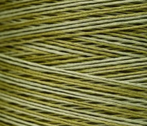 2196 Scuppernong Hand Dyed 6 Strand floss By Weeks Dye Works