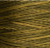 2197a Pickled Okra Hand Dyed 6 Strand floss By Weeks Dye Works