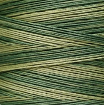 2198 Ivy Hand Dyed 6 Strand floss By Weeks Dye Works