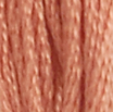 DMC 21 Prosciutto Six Strand Floss 8.7 Yard Skein