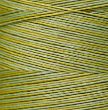2206 Pistachio Hand Dyed 6 Strand floss By Weeks Dye Works