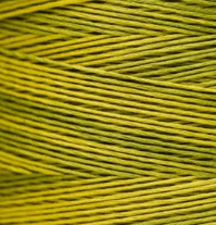 2207 Pepperoncini Hand Dyed 6 Strand floss By Weeks Dye Works