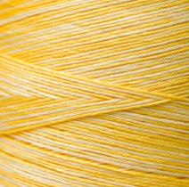 2218 Sally's Sunshine Hand Dyed 6 Strand floss By Weeks Dye Works