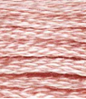 DMC 224 Earthworm Six Strand Floss 8.7 Yard Skein