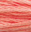 DMC 3341 Kittens Nose Six Strand Floss 8.7 Yard Skein