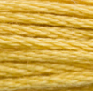 DMC 3821 Mango Six Strand Floss 8.7 Yard Skein