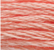 DMC 3824 Strawberry Cream Six Strand Floss 8.7 Yard Skein