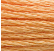 DMC 3854 Chai Spice Six Strand Floss 8.7 Yard Skein