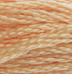 DMC 3856 Buff Six Strand Floss 8.7 Yard Skein