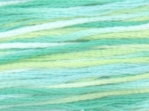 DMC 4040 Water Lilies Color Variations 8.7 yard Skein