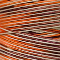 4103 Harvest Hand Dyed 6 Strand floss By Weeks Dye Works