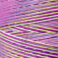 4123 Celebration Hand Dyed 6 Strand floss By Weeks Dye Works