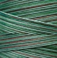 4135 Foliage Hand Dyed 6 Strand floss By Weeks Dye Works