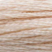 DMC 543 Shell Six Strand Floss 8.7 Yard Skein