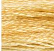 DMC 676 Savannah Six Strand Floss 8.7 Yard Skein