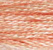 DMC 754 Beige Rose Mist Strand Floss 8.7 Yard Skein