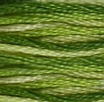 DMC 92 Foliage Green Ombre Strand Floss 8.7 Yard Skein