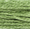 DMC 989 Fennel Stem 6-Strand Floss 8.7 Yard Skein