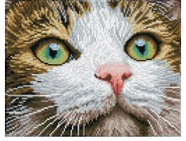 Green Eyed Beauty Diamond Dotz Diamond Art Kit 14" X 11"