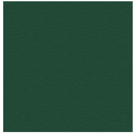 Emerald FiestaFelt  9" x 12" Square - 1 piece