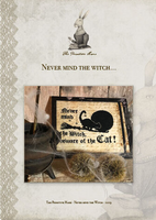 Never Mind the Witch Beware of the Cat Cross Stitch Pattern By The Primitive Hare