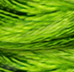 DMC S471 Tarragon Satin Floss 8.7 Yard Skein