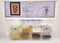 Mira Fairy Embellishment Pack Mirabilia MD-201E