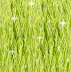 C907 Granny Smith DMC Mouline Etoile Skein