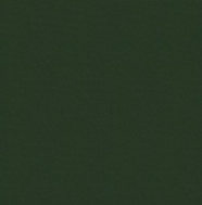 FiestaFelt  9" x12" Square - 1 piece  - FiestaFelt Hunter Green