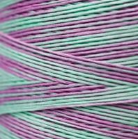2126 Madras Dyed 6 Strand floss By Weeks Dye Works